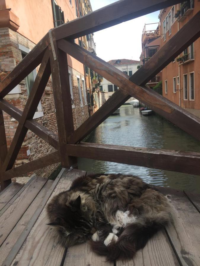 Tintoretto Vista Real ヴェネツィア エクステリア 写真